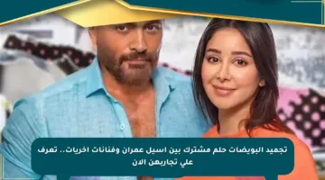 تجميد البويضات حلم مشترك بين أسيل عمران وفنانات أخريات.. تعرف على تجاربهن الآن